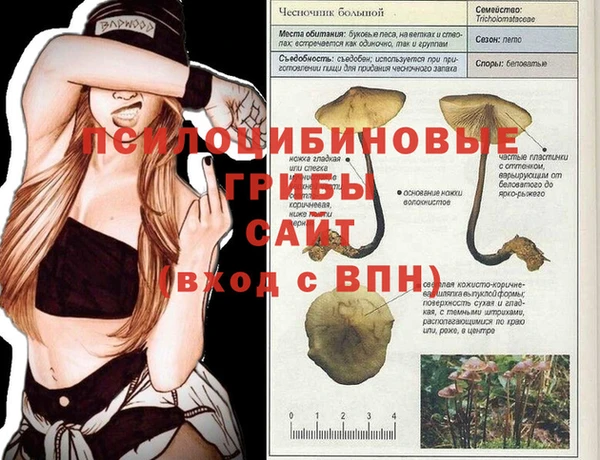 кокаин колумбия Иннополис